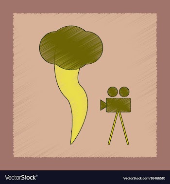 Flat shading style icon tornado camera vector image