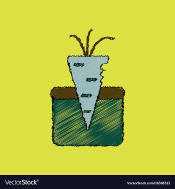 Flat shading style icon turnip in soil vector image