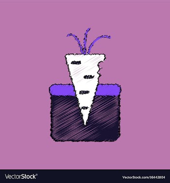 Flat shading style icon turnip in soil vector image