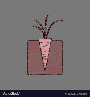 Flat shading style icon turnips in the ground vector image