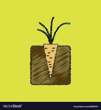 Flat shading style icon turnips in the ground vector image