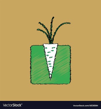 Flat shading style icon turnips in the ground vector image