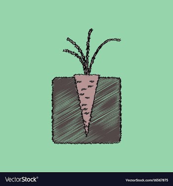 Flat shading style icon turnips in the ground vector image