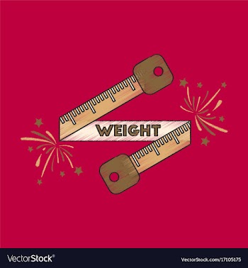Flat shading style icon weight loss logo vector image