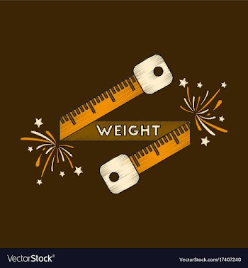 Flat shading style icon weight loss logo vector image