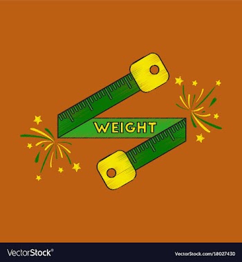 Flat shading style icon weight loss logo vector image