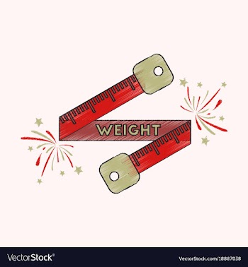 Flat shading style icon weight loss logo vector image
