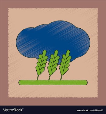 Flat shading style icon wheat cloud vector image