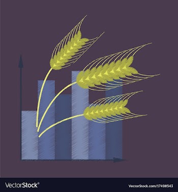 Flat shading style icon wheat infographics vector image