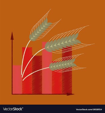 Flat shading style icon wheat infographics vector image