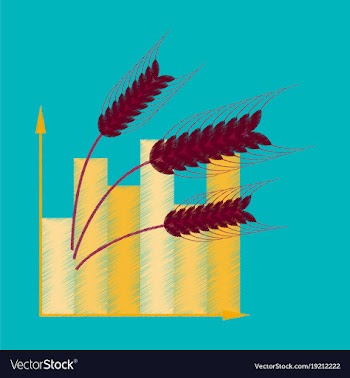 Flat shading style icon wheat infographics vector image