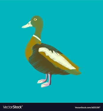 Flat shading style icon wild duck vector image