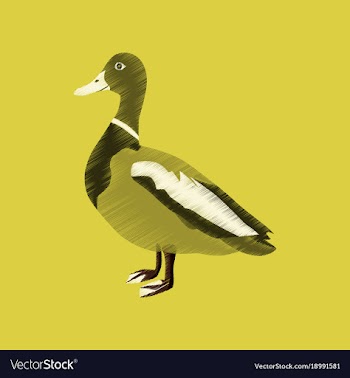 Flat shading style icon wild duck vector image
