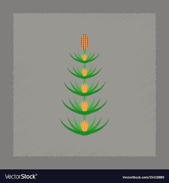 Flat shading style icon wild flower equisetum vector image