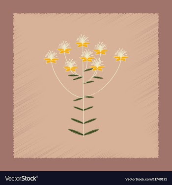 Flat shading style icon wild plant Hypericum vector image