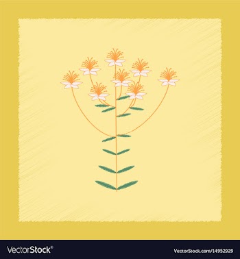 Flat shading style icon wild plant hypericum vector image