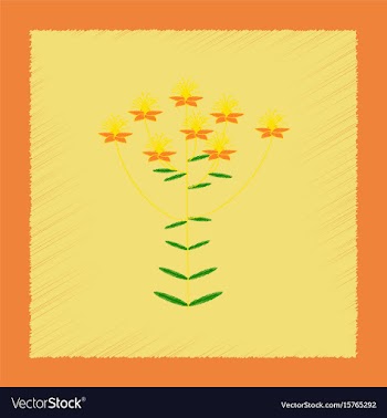 Flat shading style icon wild plant hypericum vector image
