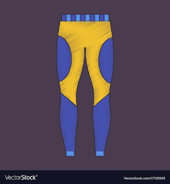 Flat shading style icon winter trousers vector image