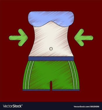 Flat shading style icon woman body diet vector image