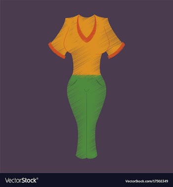 Flat shading style icon women pants and shirt vector image