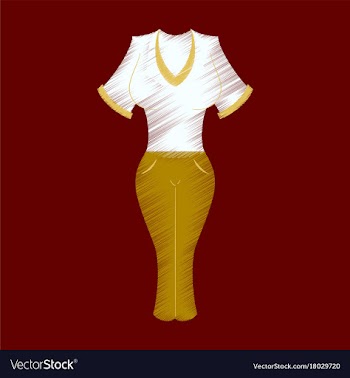 Flat shading style icon women pants and shirt vector image