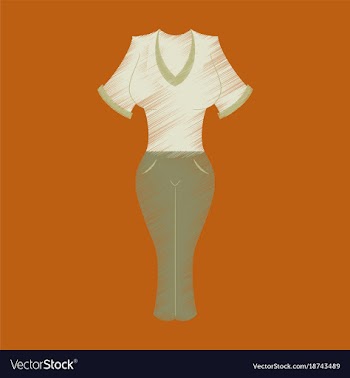 Flat shading style icon women pants and shirt vector image