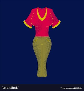 Flat shading style icon women pants and shirt vector image