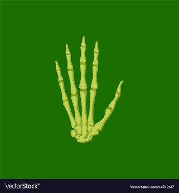 Flat shading style icon wrist bone vector image