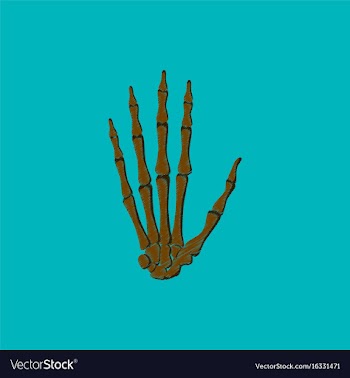 Flat shading style icon wrist bone vector image