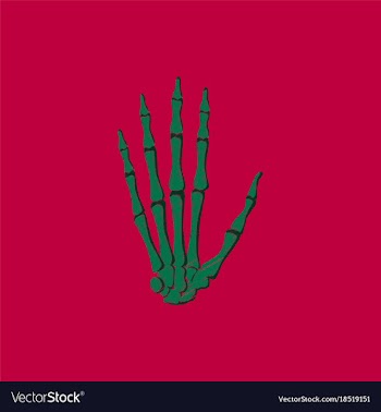 Flat shading style icon wrist bone vector image