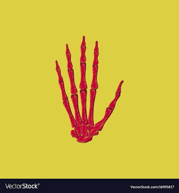 Flat shading style icon wrist bone vector image