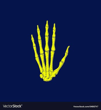 Flat shading style icon wrist bone vector image