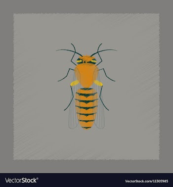Flat shading style insect bee vector image
