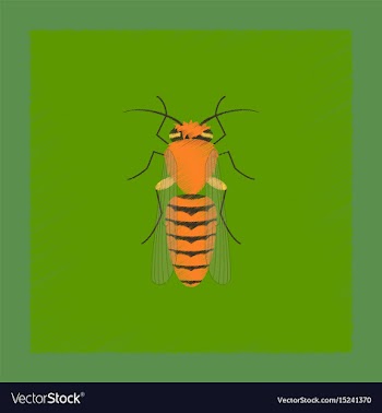 Flat shading style insect bee vector image