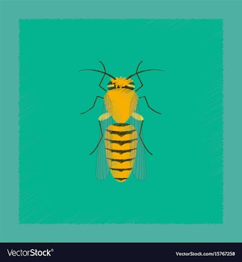 Flat shading style insect bee vector image