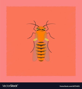 Flat shading style insect bee vector image