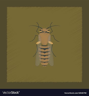 Flat shading style insect bee vector image