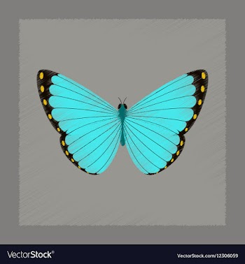 Flat shading style insect butterfly vector image