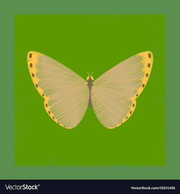 Flat shading style insect butterfly vector image
