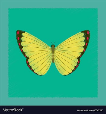 Flat shading style insect butterfly vector image