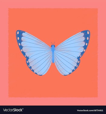 Flat shading style insect butterfly vector image