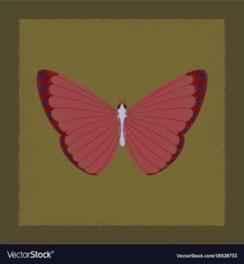 Flat shading style insect butterfly vector image