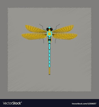 Flat shading style insect dragonfly vector image