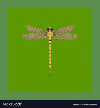 Flat shading style insect dragonfly vector image