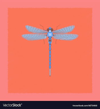 Flat shading style insect dragonfly vector image
