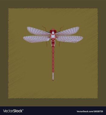 Flat shading style insect dragonfly vector image