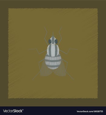 Flat shading style insect fly vector image