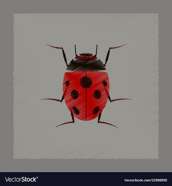 Flat shading style insect ladybug vector image