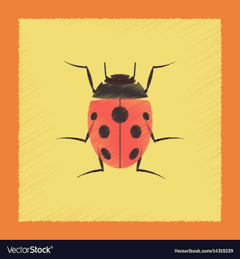 Flat shading style insect ladybug vector image
