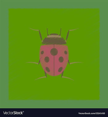 Flat shading style insect ladybug vector image